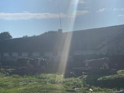 Продається ферма!