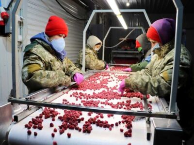 Холодильна та морозильна камери для Заморозки малини і суниці