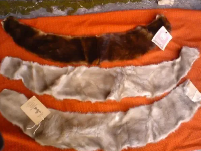 продам кожу натуральную,мех дубленочный в шкурах,норка лиса песец