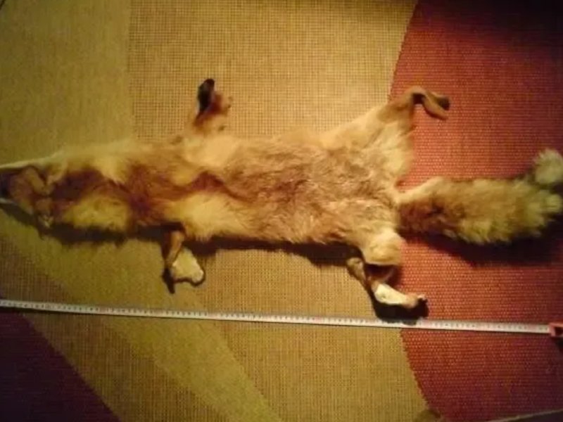 продам кожу натуральную,мех дубленочный в шкурах,норка лиса песец