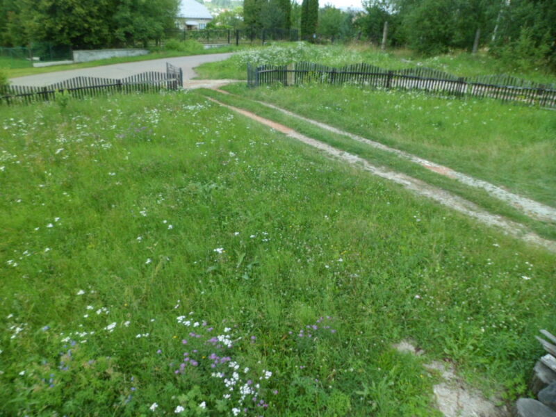 Ділянка біля Варшавської траси 46 соток, Бородянка