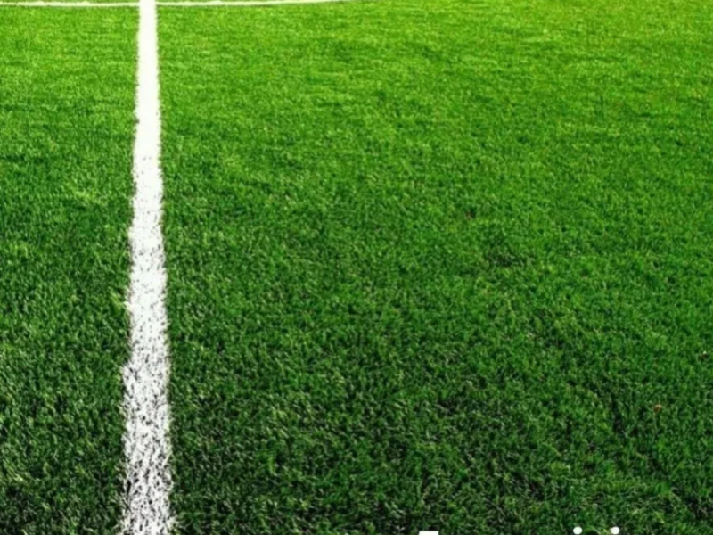 Спорт міні Газонна трава низькоросла витривала
