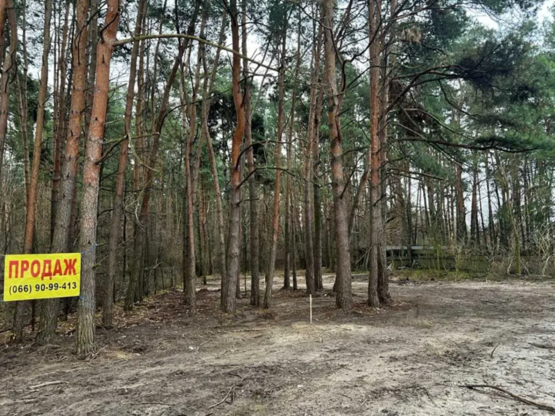 ділянка під житлову забудову Фастівський, Варовичі, Університетська 8