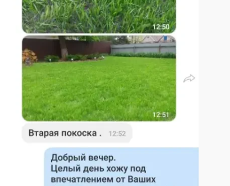 Газон спортивный НАБОР 5кг: трава семена+ удобрения ОСЕНЬ сотка легко