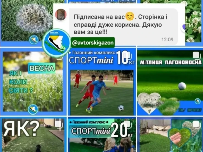 Спорт міні Газонна трава низькоросла витривала