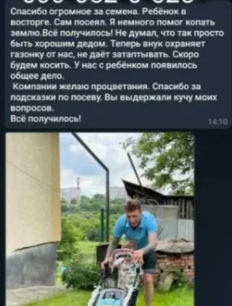 Газон спортивный НАБОР 5кг: трава семена+ удобрения ОСЕНЬ сотка легко