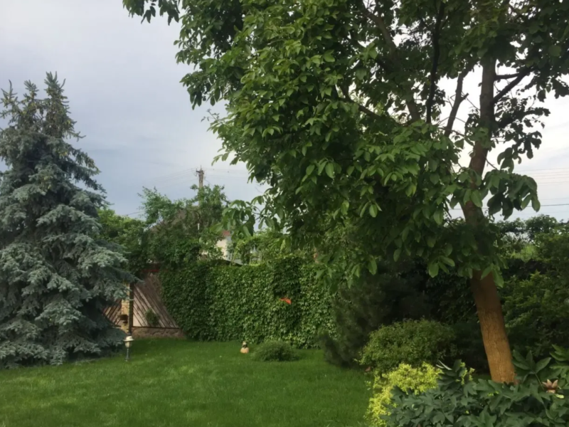 Дом - Обуховский р-н, Киевська обл. Голубое озеро.