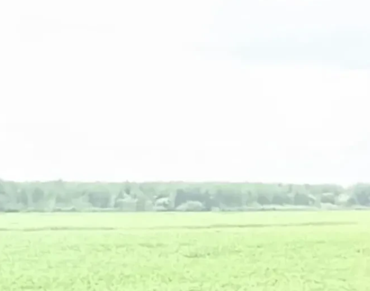 Ділянка біля Варшавської траси 46 соток, Бородянка