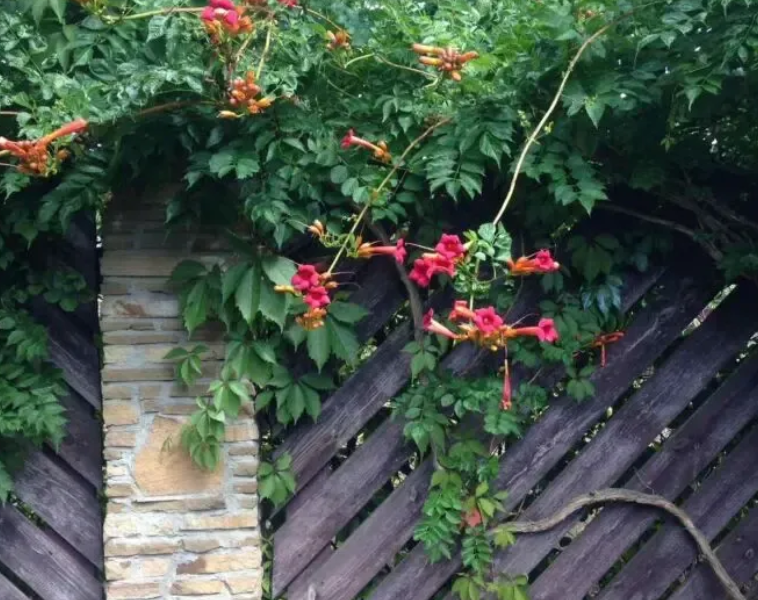 Дом - Обуховский р-н, Киевська обл. Голубое озеро.