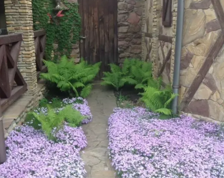 Дом - Обуховский р-н, Киевська обл. Голубое озеро.