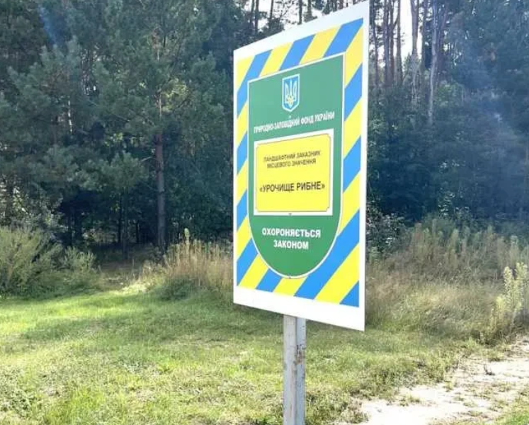 ділянка під житлову забудову Фастівський, Варовичі, Університетська 8