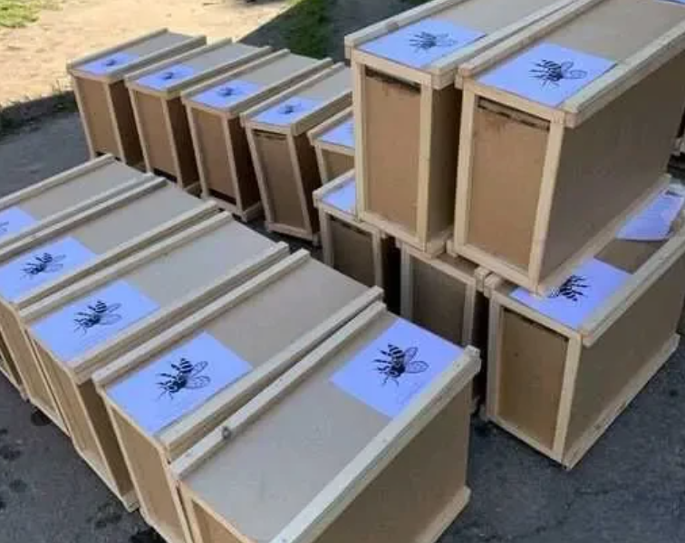 Бджолопакети