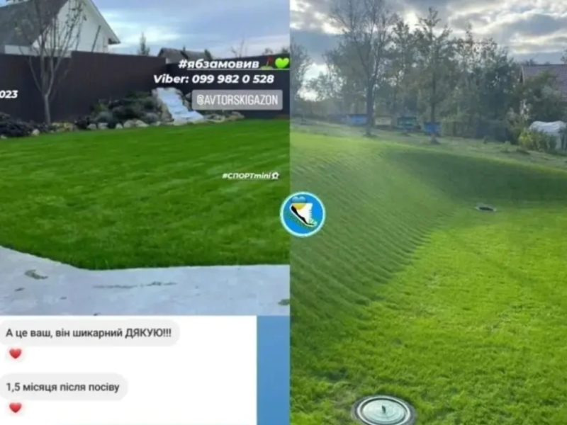 Газонний комплекс Спорт mini 5кг газон-ліліпут та газонні добрива 1кг