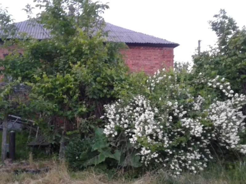 Продам приватизированный участок 4 500$