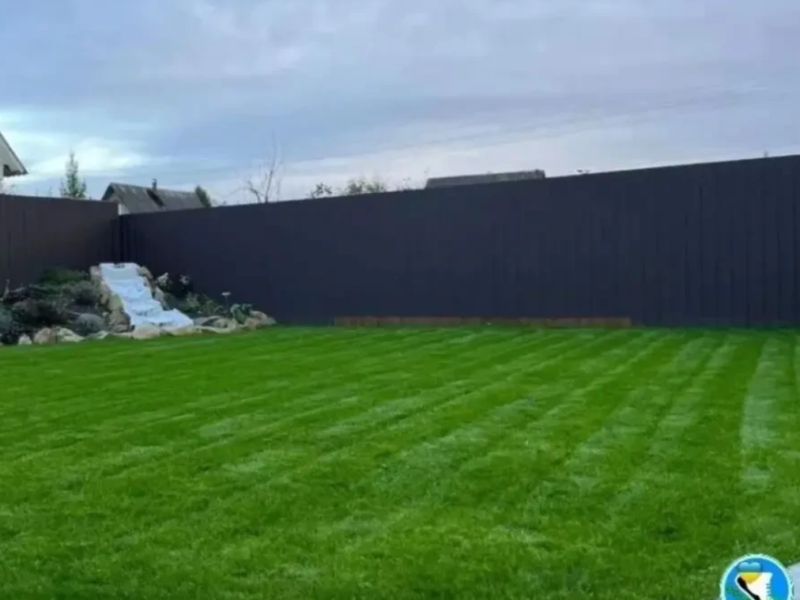 Газонний комплекс Спорт mini 5кг газон-ліліпут та газонні добрива 1кг