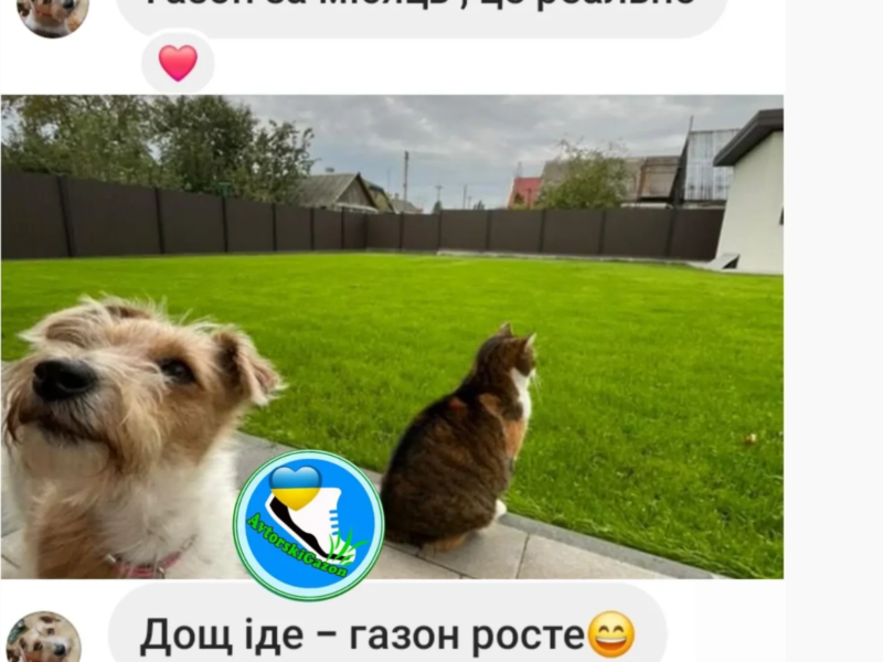 Газонний комплекс Спорт mini 5кг газон-ліліпут та газонні добрива 1кг